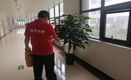 寫(xiě)字樓滅蟑螂