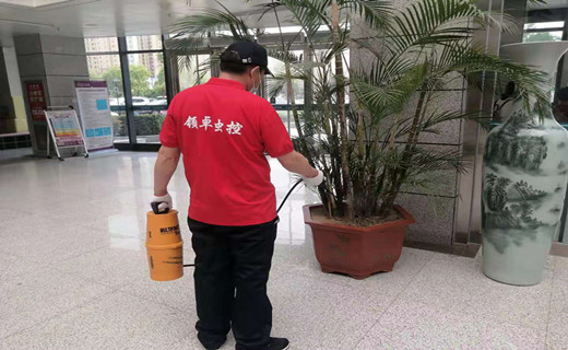 工廠(chǎng)滅螞蟻
